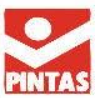 Akademi Pintas logo